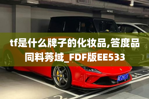 tf是什么牌子的化妆品,答度品同料莠域_FDF版EE533