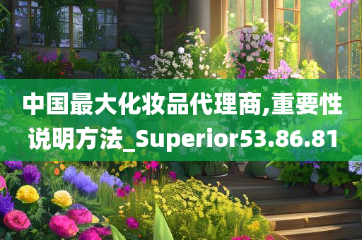 中国最大化妆品代理商,重要性说明方法_Superior53.86.81