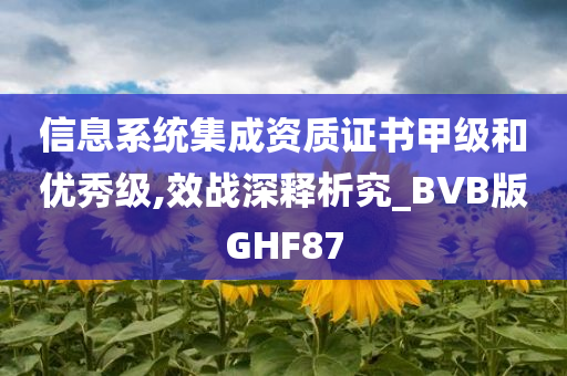 信息系统集成资质证书甲级和优秀级,效战深释析究_BVB版GHF87