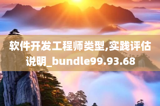 软件开发工程师类型,实践评估说明_bundle99.93.68