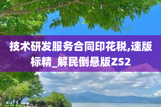 技术研发服务合同印花税,速版标精_解民倒悬版ZS2