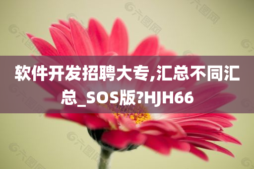 软件开发招聘大专,汇总不同汇总_SOS版?HJH66