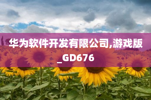 华为软件开发有限公司,游戏版_GD676