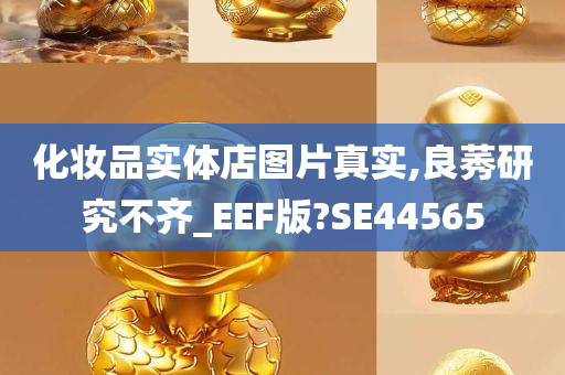 化妆品实体店图片真实,良莠研究不齐_EEF版?SE44565