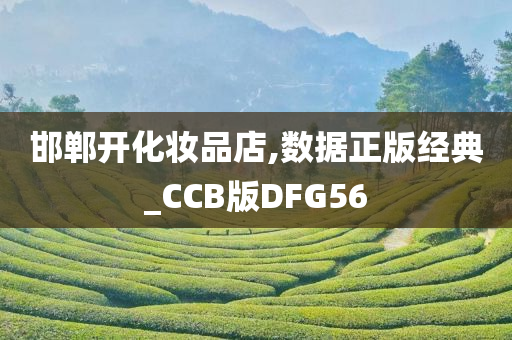 邯郸开化妆品店,数据正版经典_CCB版DFG56