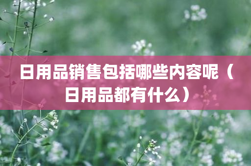 日用品销售包括哪些内容呢（日用品都有什么）