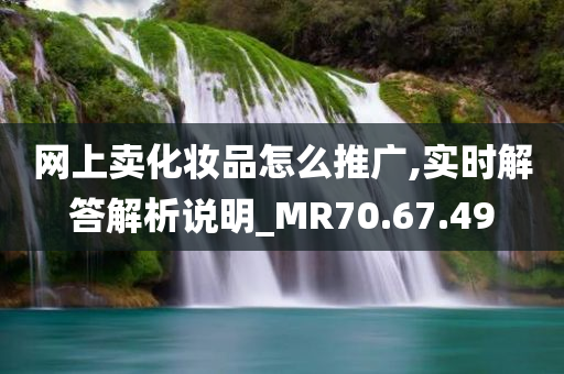 网上卖化妆品怎么推广,实时解答解析说明_MR70.67.49