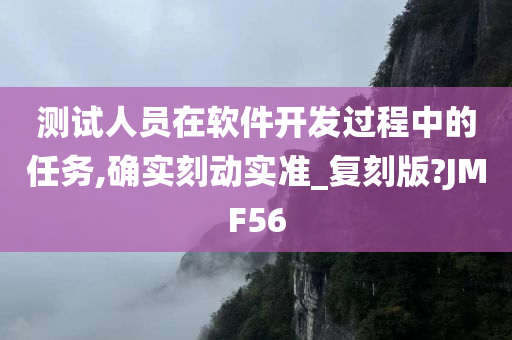 测试人员在软件开发过程中的任务,确实刻动实准_复刻版?JMF56