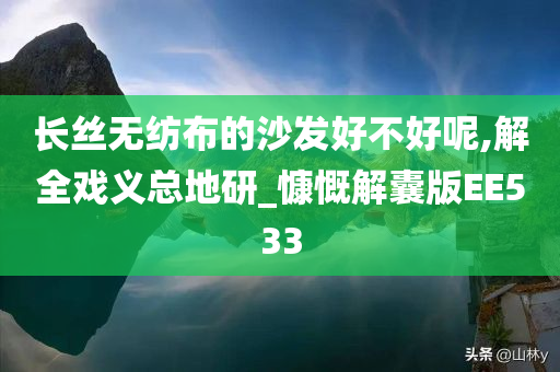 长丝无纺布的沙发好不好呢,解全戏义总地研_慷慨解囊版EE533