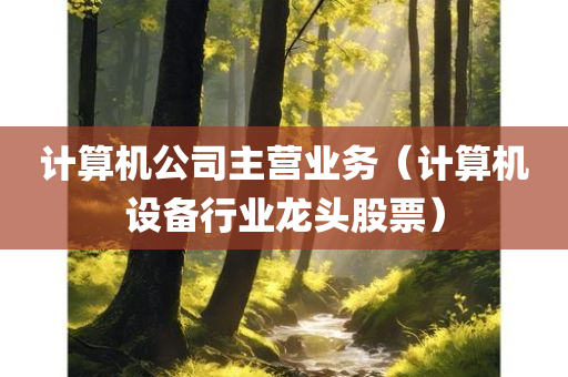 计算机公司主营业务（计算机设备行业龙头股票）