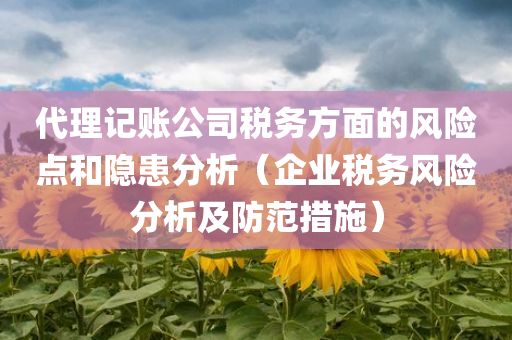 代理记账公司税务方面的风险点和隐患分析（企业税务风险分析及防范措施）