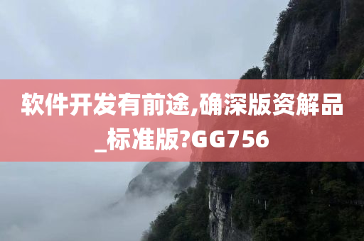 软件开发有前途,确深版资解品_标准版?GG756