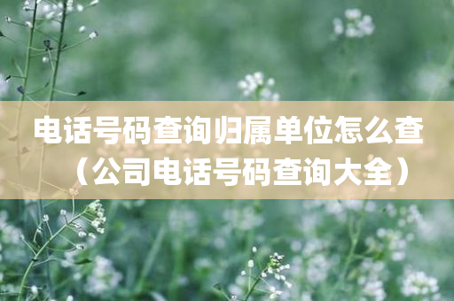 电话号码查询归属单位怎么查（公司电话号码查询大全）