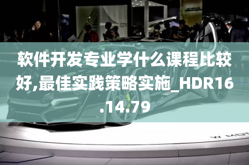 软件开发专业学什么课程比较好,最佳实践策略实施_HDR16.14.79