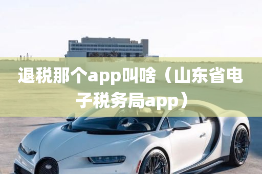 退税那个app叫啥（山东省电子税务局app）