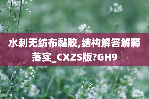 水刺无纺布黏胶,结构解答解释落实_CXZS版?GH9