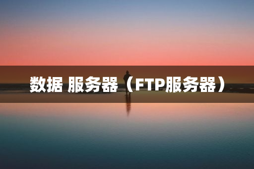 数据 服务器（FTP服务器）