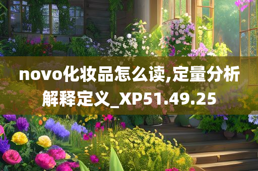 novo化妆品怎么读,定量分析解释定义_XP51.49.25