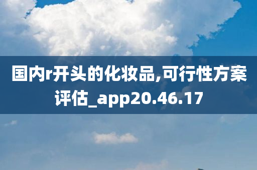 国内r开头的化妆品,可行性方案评估_app20.46.17