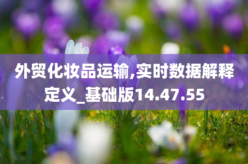 外贸化妆品运输,实时数据解释定义_基础版14.47.55