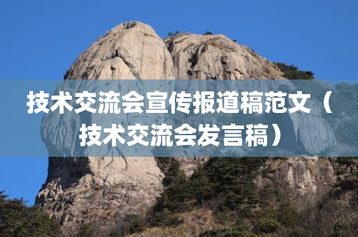 技术交流会宣传报道稿范文（技术交流会发言稿）