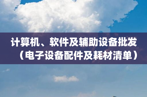 计算机、软件及辅助设备批发（电子设备配件及耗材清单）