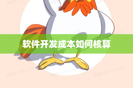 软件开发成本如何核算