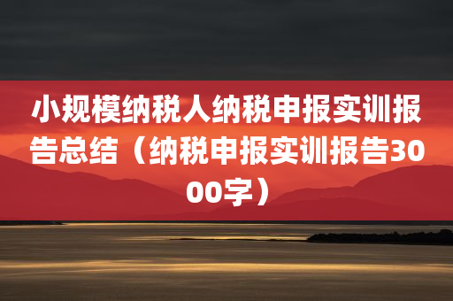 小规模纳税人纳税申报实训报告总结（纳税申报实训报告3000字）