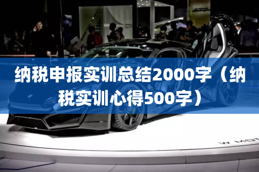 纳税申报实训总结2000字（纳税实训心得500字）