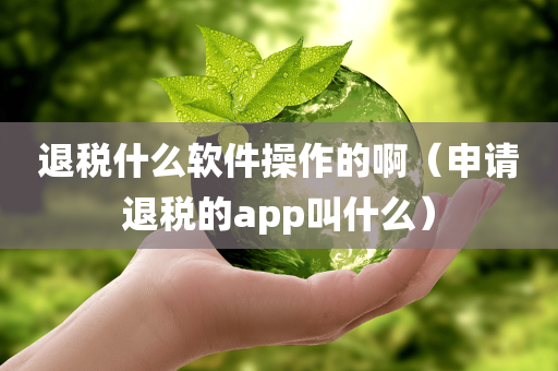 退税什么软件操作的啊（申请退税的app叫什么）