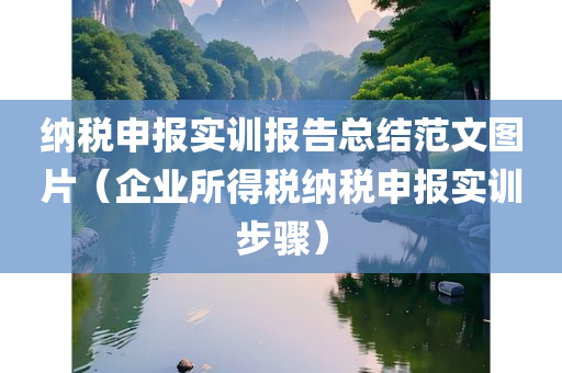 纳税申报实训报告总结范文图片（企业所得税纳税申报实训步骤）