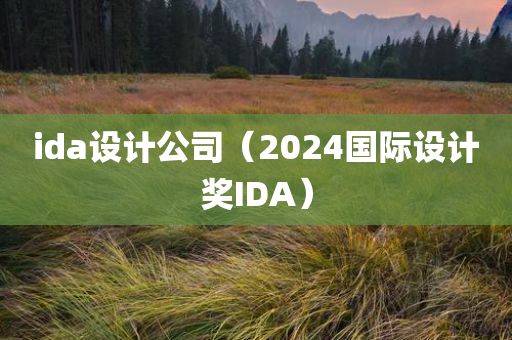 ida设计公司（2024国际设计奖IDA）