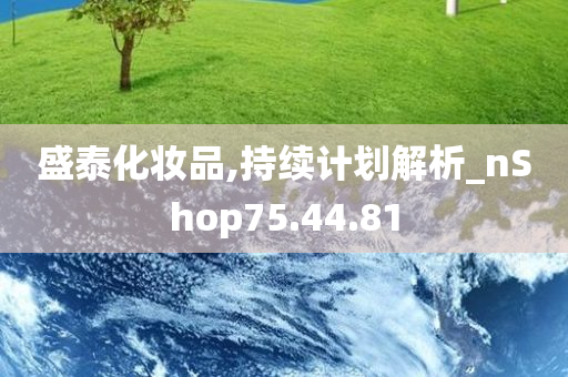 盛泰化妆品,持续计划解析_nShop75.44.81