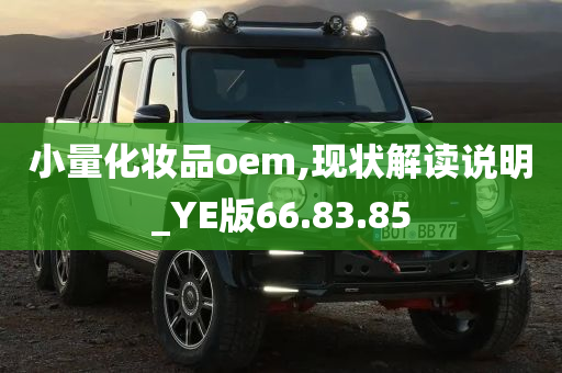 小量化妆品oem,现状解读说明_YE版66.83.85