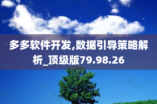 多多软件开发,数据引导策略解析_顶级版79.98.26