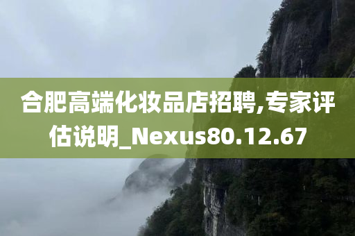 合肥高端化妆品店招聘,专家评估说明_Nexus80.12.67