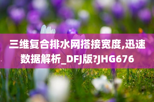 三维复合排水网搭接宽度,迅速数据解析_DFJ版?JHG676