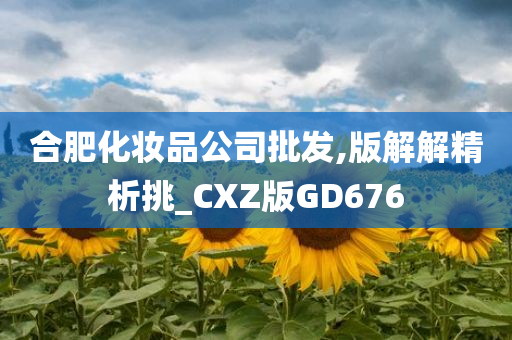 合肥化妆品公司批发,版解解精析挑_CXZ版GD676