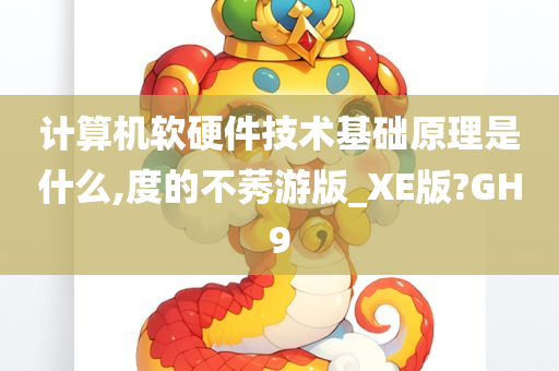 计算机软硬件技术基础原理是什么,度的不莠游版_XE版?GH9