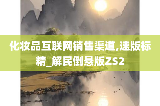 化妆品互联网销售渠道,速版标精_解民倒悬版ZS2