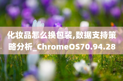 化妆品怎么换包装,数据支持策略分析_ChromeOS70.94.28