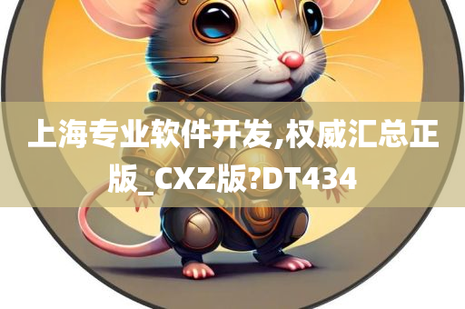 上海专业软件开发,权威汇总正版_CXZ版?DT434