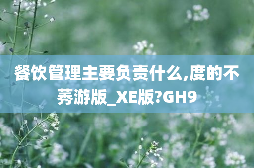 餐饮管理主要负责什么,度的不莠游版_XE版?GH9