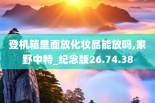 登机箱里面放化妆品能放吗,家野中特_纪念版26.74.38