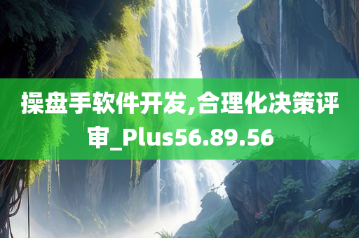 操盘手软件开发,合理化决策评审_Plus56.89.56