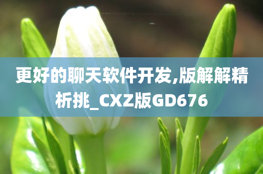 更好的聊天软件开发,版解解精析挑_CXZ版GD676