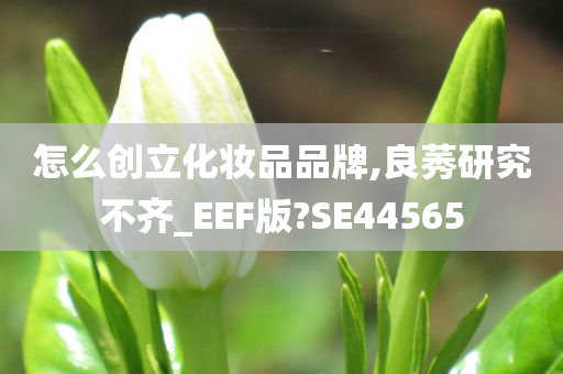 怎么创立化妆品品牌,良莠研究不齐_EEF版?SE44565