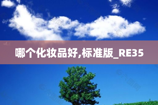 哪个化妆品好,标准版_RE35