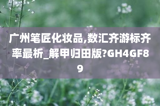 广州笔匠化妆品,数汇齐游标齐率最析_解甲归田版?GH4GF89