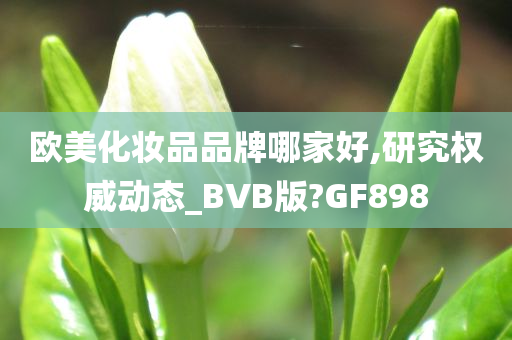 欧美化妆品品牌哪家好,研究权威动态_BVB版?GF898